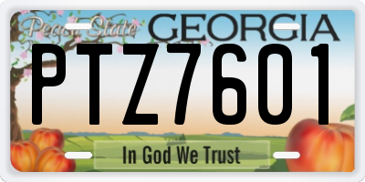 GA license plate PTZ7601
