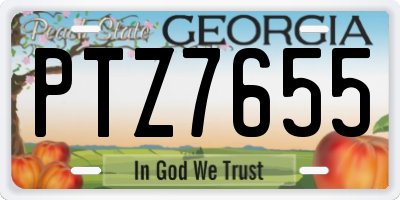 GA license plate PTZ7655