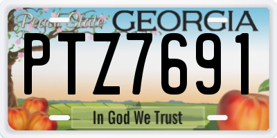 GA license plate PTZ7691