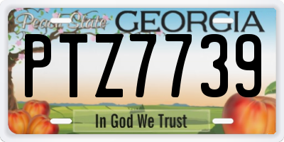 GA license plate PTZ7739