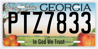 GA license plate PTZ7833