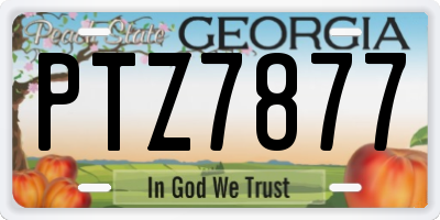 GA license plate PTZ7877