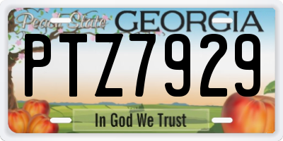 GA license plate PTZ7929