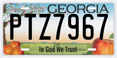 GA license plate PTZ7967