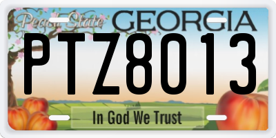 GA license plate PTZ8013
