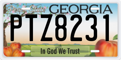 GA license plate PTZ8231