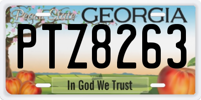 GA license plate PTZ8263
