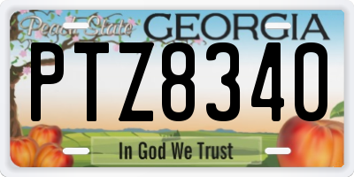 GA license plate PTZ8340