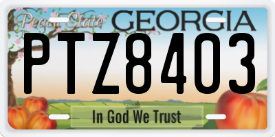 GA license plate PTZ8403