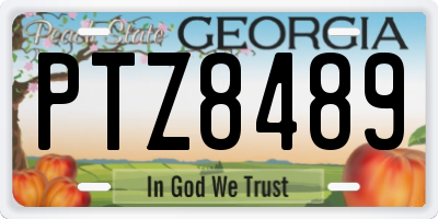 GA license plate PTZ8489