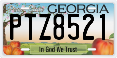 GA license plate PTZ8521