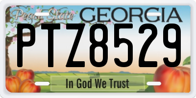 GA license plate PTZ8529