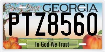 GA license plate PTZ8560