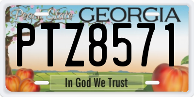 GA license plate PTZ8571