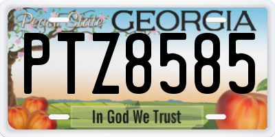 GA license plate PTZ8585