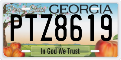 GA license plate PTZ8619