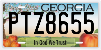 GA license plate PTZ8655