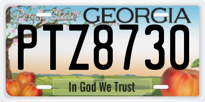 GA license plate PTZ8730