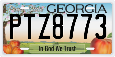 GA license plate PTZ8773