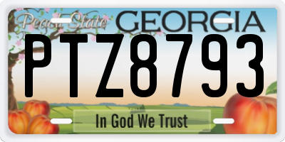 GA license plate PTZ8793