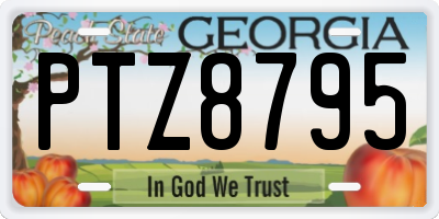 GA license plate PTZ8795