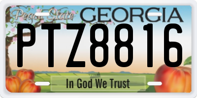 GA license plate PTZ8816