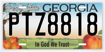 GA license plate PTZ8818