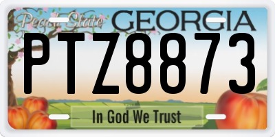 GA license plate PTZ8873