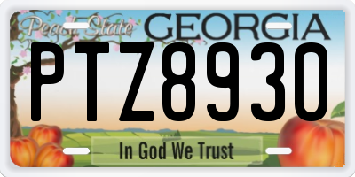 GA license plate PTZ8930
