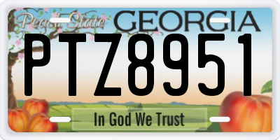 GA license plate PTZ8951