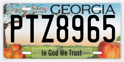 GA license plate PTZ8965