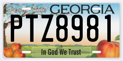 GA license plate PTZ8981