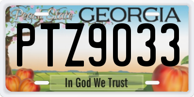 GA license plate PTZ9033