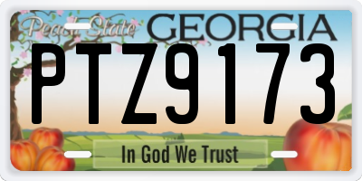GA license plate PTZ9173