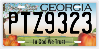 GA license plate PTZ9323