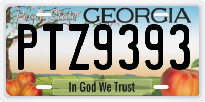 GA license plate PTZ9393