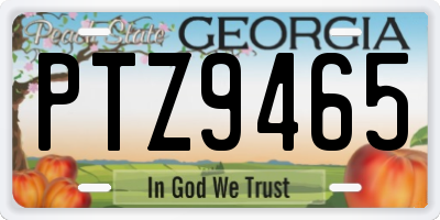GA license plate PTZ9465
