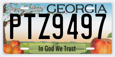 GA license plate PTZ9497