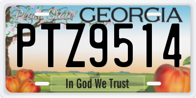GA license plate PTZ9514