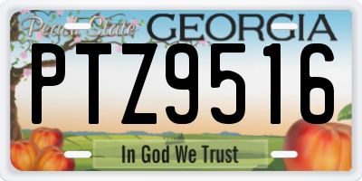 GA license plate PTZ9516