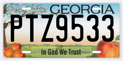 GA license plate PTZ9533