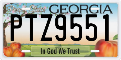 GA license plate PTZ9551