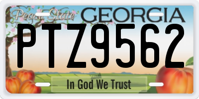 GA license plate PTZ9562