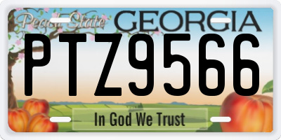 GA license plate PTZ9566