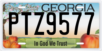 GA license plate PTZ9577