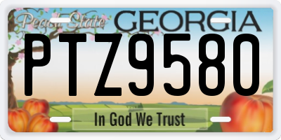 GA license plate PTZ9580