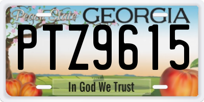 GA license plate PTZ9615