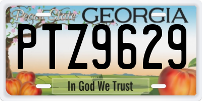 GA license plate PTZ9629