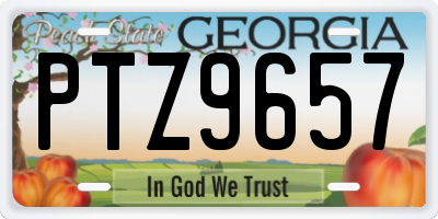 GA license plate PTZ9657