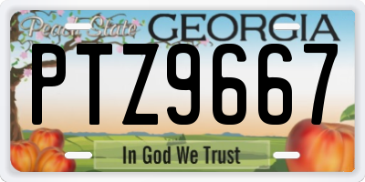 GA license plate PTZ9667